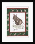 Mice by Miranda Legard