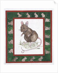 Mice by Miranda Legard