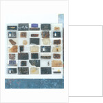 Bee resin casts by Charlie Millar