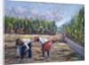 Sugarcane Harvest, 1986 by Carlton Murrell