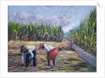 Sugarcane Harvest, 1986 by Carlton Murrell