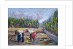 Sugarcane Harvest, 1986 by Carlton Murrell