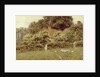 A Cottage at Farringford, Isle of Wight by Helen Allingham