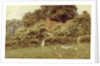 A Cottage at Farringford, Isle of Wight by Helen Allingham