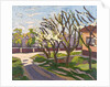 In Spring Light, 2008 by Marta Martonfi-Benke