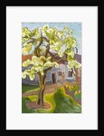 Blooming Pear Tree, 2008 by Marta Martonfi-Benke