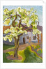 Blooming Pear Tree, 2008 by Marta Martonfi-Benke