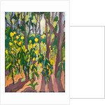 Ambassadors of Light,2011 by Marta Martonfi-Benke