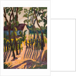 Ramshackle Fence, 2011 by Marta Martonfi-Benke