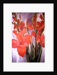 Red Gladioli by Margaret Norris