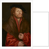 Portrait of Moritz Buchner, c.1520 by Lucas the Elder Cranach