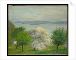 Apple Blossom, 1903 by Robert William Vonnoh