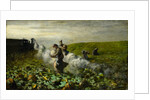 The Pumpkin Harvest, 1897 by Giovanni Segantini