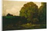 A Pond in the Morvan, 1869 by Charles Francois Daubigny