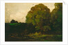 A Pond in the Morvan, 1869 by Charles Francois Daubigny