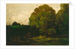 A Pond in the Morvan, 1869 by Charles Francois Daubigny