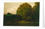 A Pond in the Morvan, 1869 by Charles Francois Daubigny
