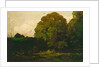 A Pond in the Morvan, 1869 by Charles Francois Daubigny