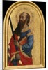 Saint Paul, c.1450-60 by Vincenzo Foppa