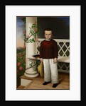 Portrait of a Boy, 1856 by James B. (attr. to) Read