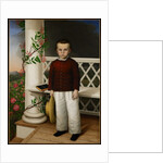 Portrait of a Boy, 1856 by James B. (attr. to) Read