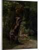 Deer in the Forest, 1868 by Gustave Courbet