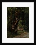 Deer in the Forest, 1868 by Gustave Courbet