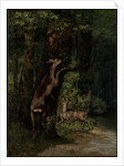 Deer in the Forest, 1868 by Gustave Courbet