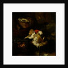 The Cat's Paw, c.1824 by Edwin Landseer