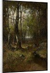 Temple Woods, 1882 by Max Weyl