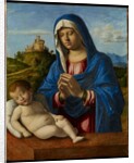Madonna and Child, c.1500-04 by Giovanni Battista Cima da Conegliano