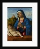 Madonna and Child, c.1500-04 by Giovanni Battista Cima da Conegliano
