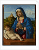 Madonna and Child, c.1500-04 by Giovanni Battista Cima da Conegliano