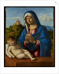 Madonna and Child, c.1500-04 by Giovanni Battista Cima da Conegliano