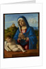 Madonna and Child, c.1500-04 by Giovanni Battista Cima da Conegliano