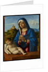 Madonna and Child, c.1500-04 by Giovanni Battista Cima da Conegliano