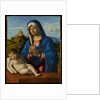 Madonna and Child, c.1500-04 by Giovanni Battista Cima da Conegliano