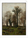 Edge of the Moor, Brittany, 1877 by Hugh Bolton Jones