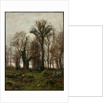 Edge of the Moor, Brittany, 1877 by Hugh Bolton Jones