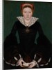 Portrait of a noblewoman, c.1550 by English School