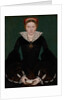 Portrait of a noblewoman, c.1550 by English School