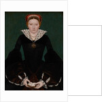 Portrait of a noblewoman, c.1550 by English School