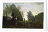 Misty Morning, c.1865 by Jean Baptiste Camille Corot