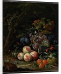 Still Life with Fruit, Foliage and Insects, c.1669 by Abraham Mignon