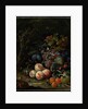 Still Life with Fruit, Foliage and Insects, c.1669 by Abraham Mignon
