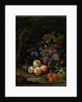 Still Life with Fruit, Foliage and Insects, c.1669 by Abraham Mignon