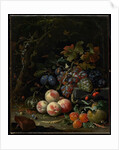 Still Life with Fruit, Foliage and Insects, c.1669 by Abraham Mignon