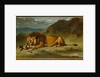 Lion Devouring a Goat, c.1850 by Eugene Delacroix
