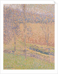 In the Mist, c.1890-1910 by Henri Jean Guillaume Martin