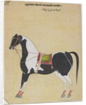 The Stallion Jukaldan Ayragi, c.1730 by Bhavani Das